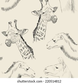 sketch of  camel, lama and giraffe on a beige background