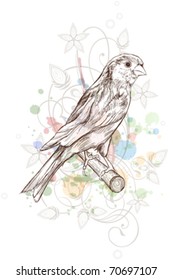 Sketch of a canary bird sitting on a branch & floral calligraphy ornament - a stylized orchid,  color paint background