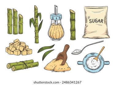 Sketch cane sugar. Sugarcane and dark brown sugar in shaker and cubes. Hand drawn scoop and bag vector illustration set