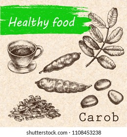 Sketch of a carob tree in vintage style on the grange background.  Botanical drawing. Design elements for postcards, ads, promotional invitations, vegan markets and vegetarian cafe.