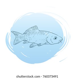 Sketch of carp fish on blue round blot background, Hand drawn vector illustration