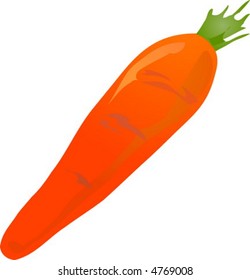 Sketch of a carrot. Hand-drawn lineart look illustration