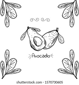Sketch cartoon black and white avocado. Monochrome vector illustration. Vegetarian Organic