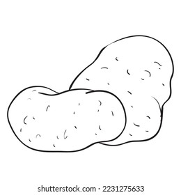 sketch, cartoon illustration, two potato tubers coloring book, isolated object on white background, vector, eps