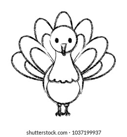 sketch of cartoon turkey icon over white background vector illustration