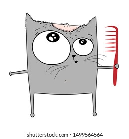 sketch of a cat drawn in vector with baldness on the head and alopecia, preparing for hair transplantation with a red comb