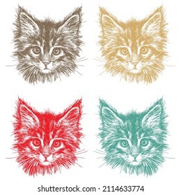 Sketch Cat Face Vector Illustration. .Hand Drawn Cat Head Isolated On A White Background
