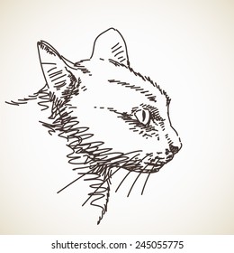 Sketch of cat, Hand drawn illustration