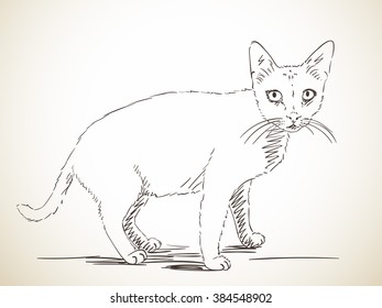 Sketch of cat, Hand drawn illustration