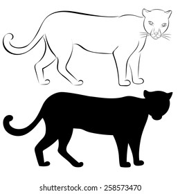 Sketch cat on a white background.
