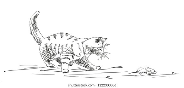 Sketch of cat playing with mouse, Hand drawn vector illustration with hatched shades