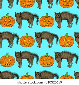 Sketch cat and pumpkin in vintage style, vector poster