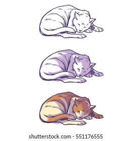 Sketch cat sleeping curled up