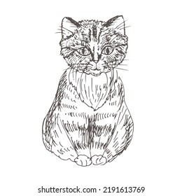 Sketch of a cat. Vector illustration.