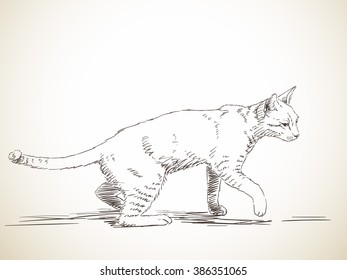 Sketch of cat walking in profile, Hand drawn illustration