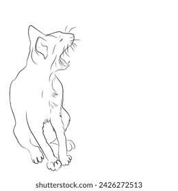 sketch of a cat yawning on a white background