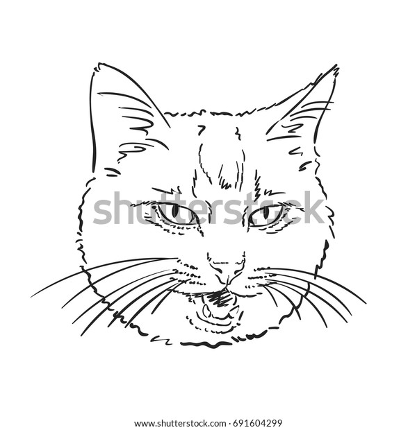Sketch Cats Head Open Mouth Long Stock Vector (Royalty Free) 691604299