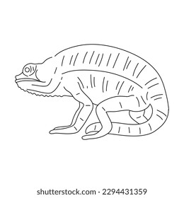 Sketch of Chameleon. Hand drawn vector illustration.