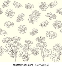 Sketch of chamomile flowers. Canvas from a botanical pattern on the bottom of the field and individual flower buds on the entire surface of the beige background. Seamless pattern.