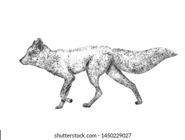 Sketch from chaotic points. Fox goes forward.