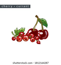 sketch cherries and red currants: 
two cherries, one branch and leaves