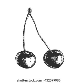 Sketch cherry. Hand drawing isolated vector illustration. Doodle stile, black cherry on white background