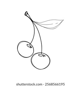Sketch of a cherry tree with a leaf. Black and white illustration of a fruit, hand-drawn, isolated on a white background, vector. An element for design, decoration, decoration, embellishment, doodle 