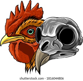 Sketch Chicken Skull vector and artwork illustration