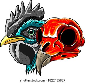 Sketch Chicken Skull vector and artwork illustration