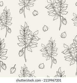 Sketch chickpea seamless pattern. Cicer arietinum background