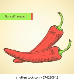 Sketch chilli pepper in vintage style, vector