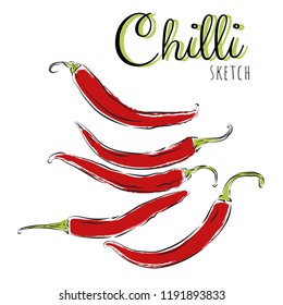 Sketch with chilli peppers. Vector paint hand drawn composition with chilli in cartoon style. Isolated on white background.