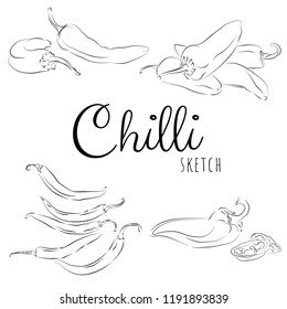 Sketch with chilli peppers. Vector paint hand drawn composition with chilli in cartoon style. Isolated on white background.