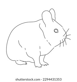 Sketch of Chinchilla. Hand drawn vector illustration.