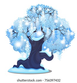 Sketch for Christmas poster with beautiful tree with spreading weeping crown isolated on white. Template for greeting card, party invitation. Snowy winter landscape with snowfall. Festive mood.