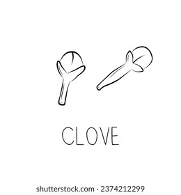 Sketch Clove Simple Vector Illustration in Doodle Style