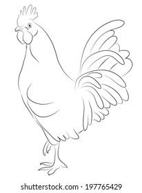 Sketch of a Cock isolated on white