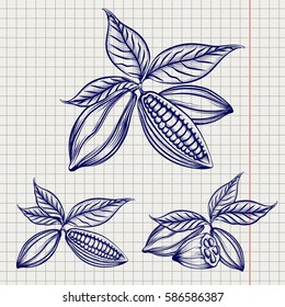 Sketch of cocoa beans set on notebook page background. Vector illustration