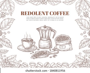 Sketch coffee banner. Bean leaf ornament, retro plants and branch poster. Hot drink cup, arabica grains plantation product vector background