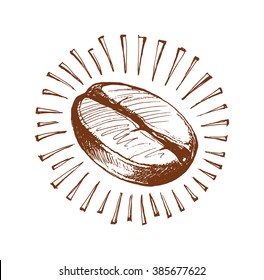 sketch of the coffee bean, painted coffee beans, vector illustration