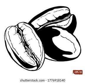 Sketch of coffee beans. Hand drawn vector drawing of three coffee beans on white background.