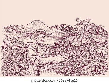 sketch of coffee farmer harvesting coffee