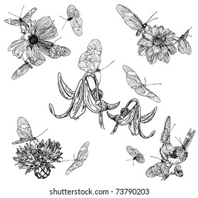 sketch collection