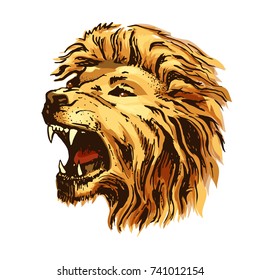 Sketch color vector lion head. Open mouth grin, isolated on white background.