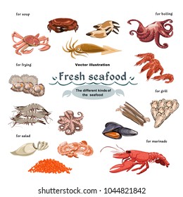 Sketch colorful marine creatures collection with seafood meat using for different meals cooking isolated vector illustration