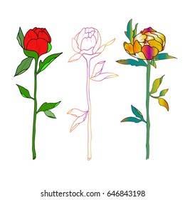 Sketch of colorful roses on a white background.