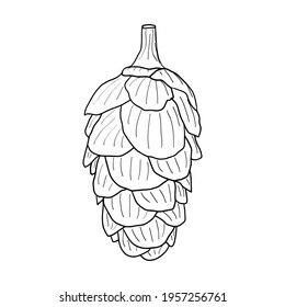 Sketch of a cone. Vector element for the design. Christmas illustration.