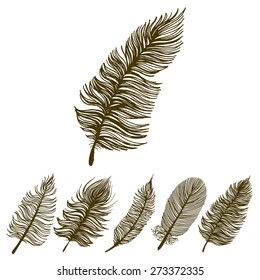 Sketch contour feather set. Vector EPS 10
