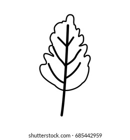 sketch contour of wavy leaf plant vector illustration