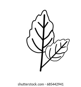sketch contour of wavy two leaves plant vector illustration